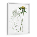 Flor De Botánica I - Melissa Wang | Cuadro decorativo de Canvas Lab