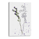 Flor De Botánica Ii - Melissa Wang | Cuadro decorativo de Canvas Lab