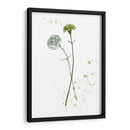 Flor De Botánica Iii - Melissa Wang | Cuadro decorativo de Canvas Lab