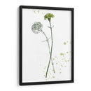 Flor De Botánica Iii - Melissa Wang | Cuadro decorativo de Canvas Lab