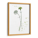 Flor De Botánica Iii - Melissa Wang | Cuadro decorativo de Canvas Lab