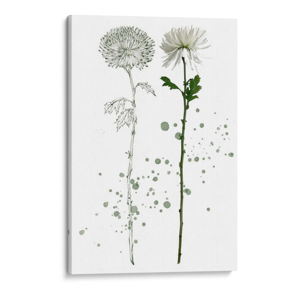 Botánica Flor Iv - Melissa Wang | Cuadro decorativo de Canvas Lab