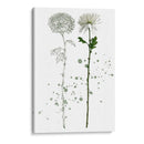 Botánica Flor Iv - Melissa Wang | Cuadro decorativo de Canvas Lab