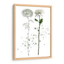 Botánica Flor Iv - Melissa Wang | Cuadro decorativo de Canvas Lab