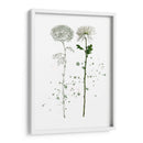 Botánica Flor Iv - Melissa Wang | Cuadro decorativo de Canvas Lab