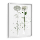 Botánica Flor Iv - Melissa Wang | Cuadro decorativo de Canvas Lab