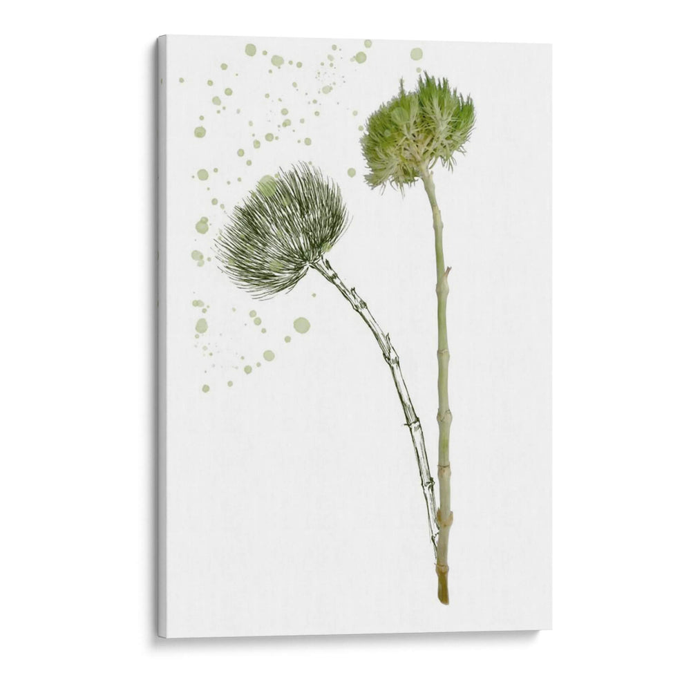 Flor De Botánica V - Melissa Wang | Cuadro decorativo de Canvas Lab