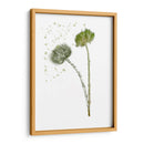 Flor De Botánica V - Melissa Wang | Cuadro decorativo de Canvas Lab