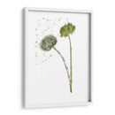 Flor De Botánica V - Melissa Wang | Cuadro decorativo de Canvas Lab