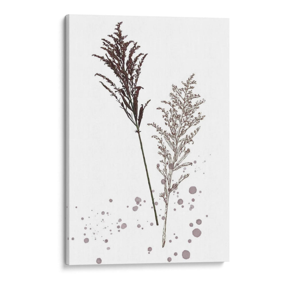 Flor De Botánica Vi - Melissa Wang | Cuadro decorativo de Canvas Lab