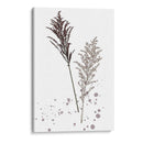 Flor De Botánica Vi - Melissa Wang | Cuadro decorativo de Canvas Lab