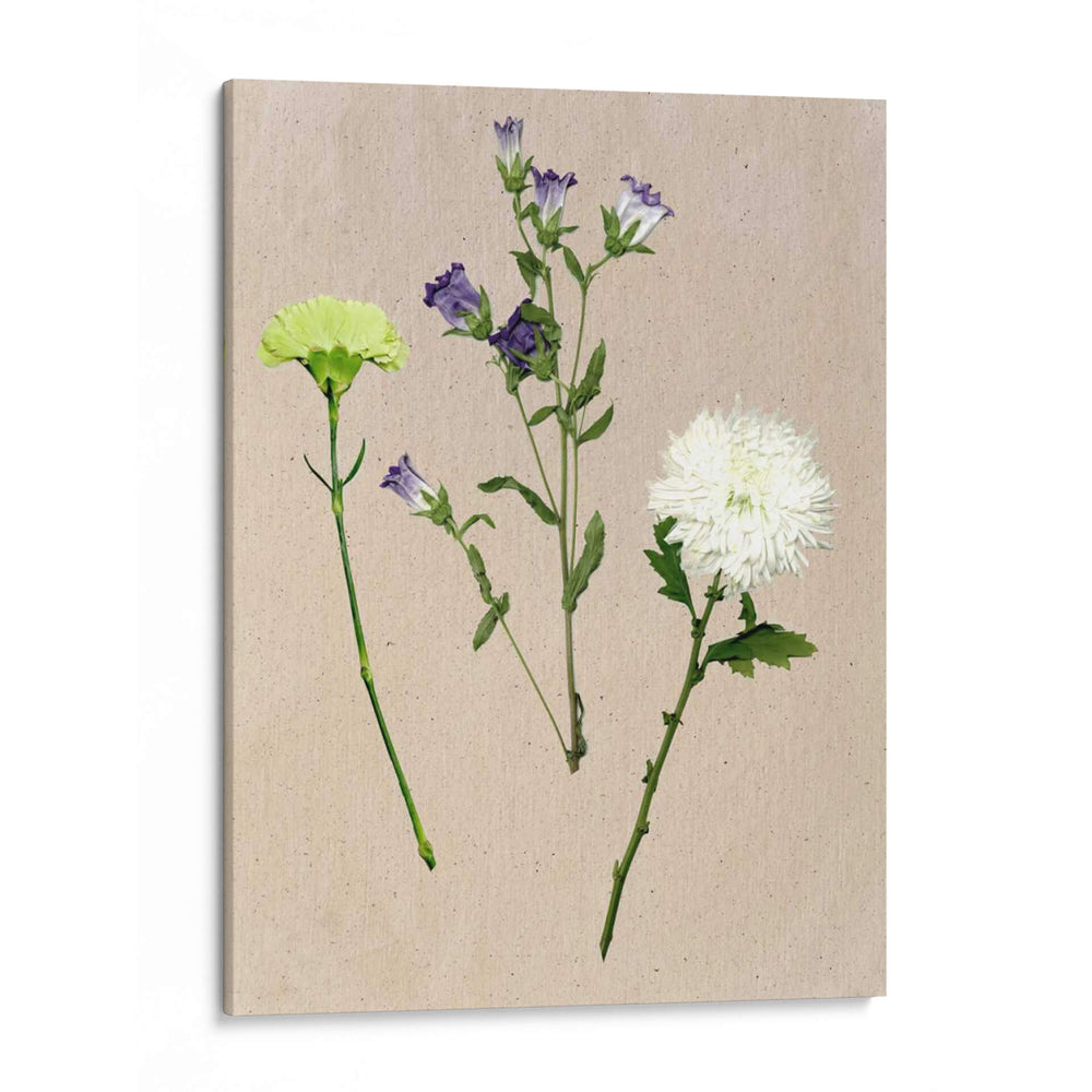Flores Bastante Prensadas Yo - Melissa Wang | Cuadro decorativo de Canvas Lab