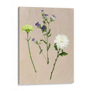 Flores Bastante Prensadas Yo - Melissa Wang | Cuadro decorativo de Canvas Lab