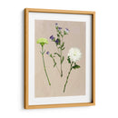 Flores Bastante Prensadas Yo - Melissa Wang | Cuadro decorativo de Canvas Lab