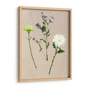 Flores Bastante Prensadas Yo - Melissa Wang | Cuadro decorativo de Canvas Lab