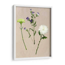Flores Bastante Prensadas Yo - Melissa Wang | Cuadro decorativo de Canvas Lab