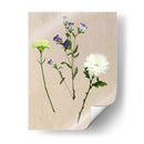 Flores Bastante Prensadas Yo - Melissa Wang | Cuadro decorativo de Canvas Lab