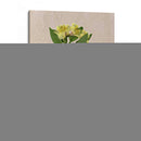 Flores Bastante Prensadas Ii - Melissa Wang | Cuadro decorativo de Canvas Lab