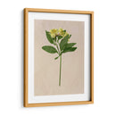 Flores Bastante Prensadas Ii - Melissa Wang | Cuadro decorativo de Canvas Lab