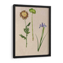 Flores Bastante Prensadas Iii - Melissa Wang | Cuadro decorativo de Canvas Lab