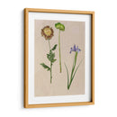 Flores Bastante Prensadas Iii - Melissa Wang | Cuadro decorativo de Canvas Lab