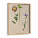 Flores Bastante Prensadas Iii - Melissa Wang | Cuadro decorativo de Canvas Lab