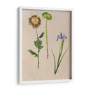 Flores Bastante Prensadas Iii - Melissa Wang | Cuadro decorativo de Canvas Lab