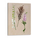 Flores Bastante Prensadas Iv - Melissa Wang | Cuadro decorativo de Canvas Lab