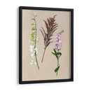 Flores Bastante Prensadas Iv - Melissa Wang | Cuadro decorativo de Canvas Lab