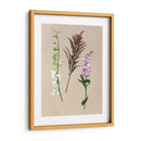 Flores Bastante Prensadas Iv - Melissa Wang | Cuadro decorativo de Canvas Lab