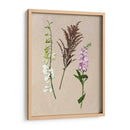 Flores Bastante Prensadas Iv - Melissa Wang | Cuadro decorativo de Canvas Lab