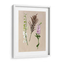 Flores Bastante Prensadas Iv - Melissa Wang | Cuadro decorativo de Canvas Lab