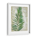 Fronda I - Chariklia Zarris | Cuadro decorativo de Canvas Lab