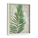 Fronda I - Chariklia Zarris | Cuadro decorativo de Canvas Lab