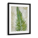 Frond Ii - Chariklia Zarris | Cuadro decorativo de Canvas Lab
