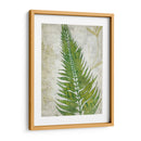 Frond Ii - Chariklia Zarris | Cuadro decorativo de Canvas Lab