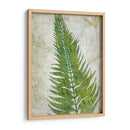 Frond Ii - Chariklia Zarris | Cuadro decorativo de Canvas Lab