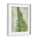 Frond Ii - Chariklia Zarris | Cuadro decorativo de Canvas Lab