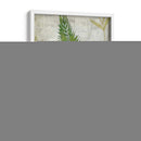 Frond Ii - Chariklia Zarris | Cuadro decorativo de Canvas Lab