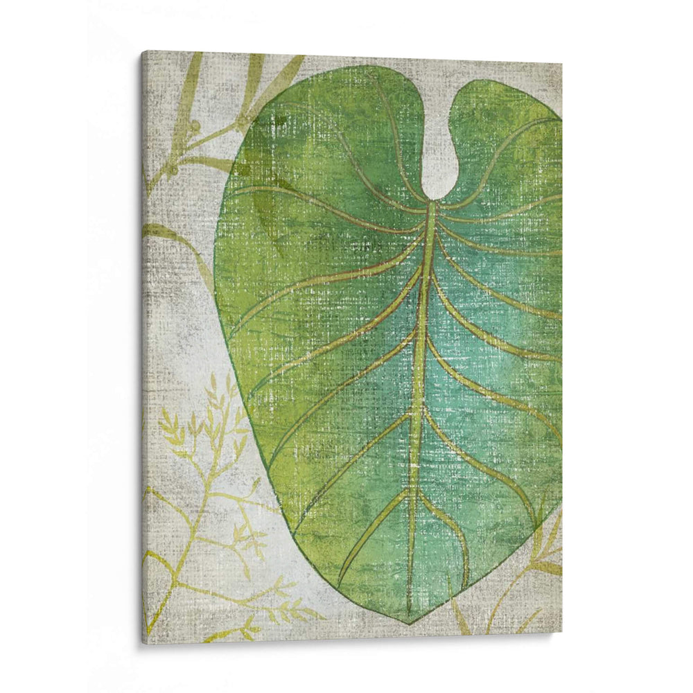 Frond Iv - Chariklia Zarris | Cuadro decorativo de Canvas Lab