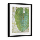 Frond Iv - Chariklia Zarris | Cuadro decorativo de Canvas Lab