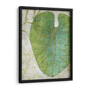 Frond Iv - Chariklia Zarris | Cuadro decorativo de Canvas Lab