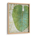 Frond Iv - Chariklia Zarris | Cuadro decorativo de Canvas Lab