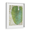 Frond Iv - Chariklia Zarris | Cuadro decorativo de Canvas Lab