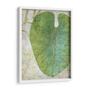 Frond Iv - Chariklia Zarris | Cuadro decorativo de Canvas Lab