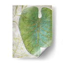 Frond Iv - Chariklia Zarris | Cuadro decorativo de Canvas Lab