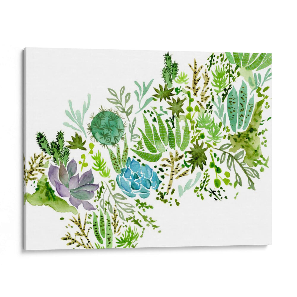 Campo Suculento I - Melissa Wang | Cuadro decorativo de Canvas Lab