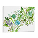 Campo Suculento I - Melissa Wang | Cuadro decorativo de Canvas Lab