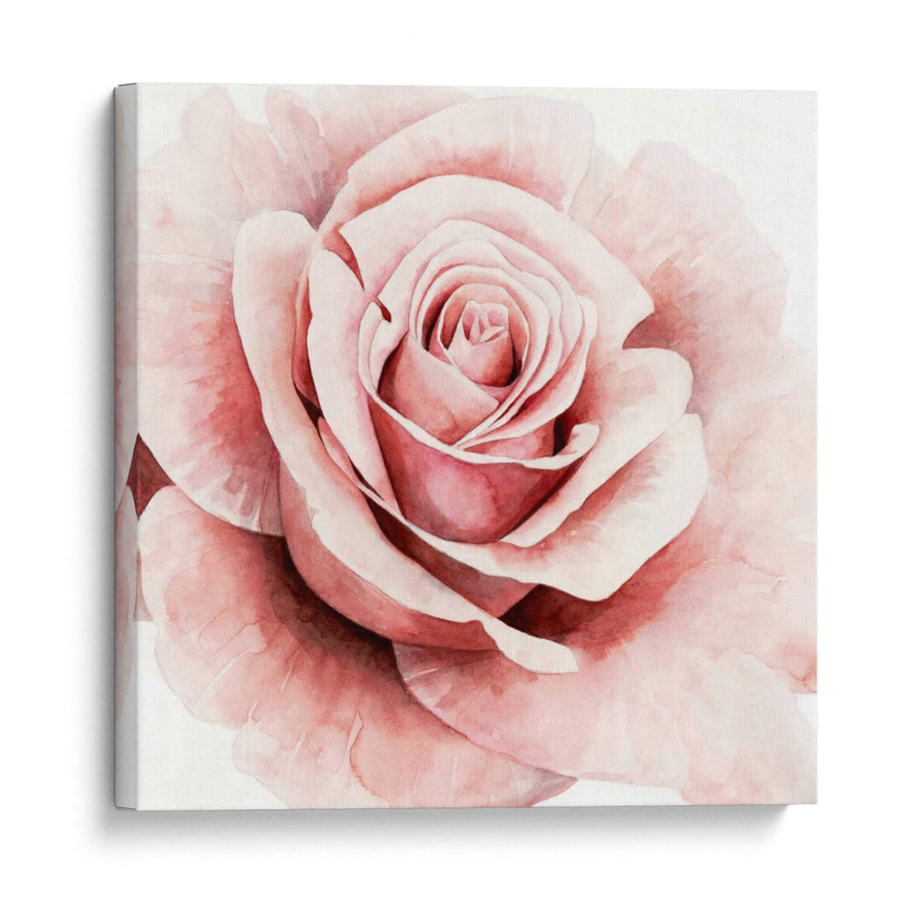 Rosa Rosa I - Grace Popp | Cuadro decorativo de Canvas Lab