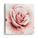 Rosa Rosa I - Grace Popp | Cuadro decorativo de Canvas Lab